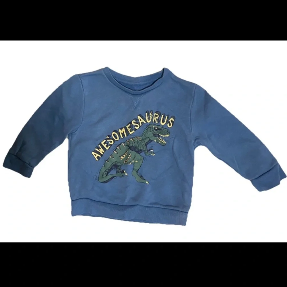 Primark Boys Size 2-3 Blue Plaid/Dinosaur Sweater & Cap Bundle